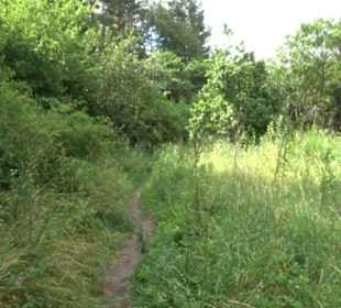 Wanderweg Ammerbucher Gigeleswegle