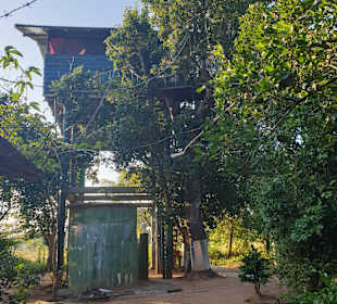 Kumar's Baumhaus-Tour Bentota