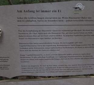 Dinosaurier Museum Altmühltal