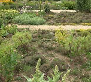 ALB-GOLD Naturgarten