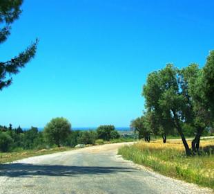 Green Canyon vom Staudamm nach Side