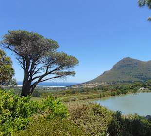 Cape Point Vineyards in Noordhoek