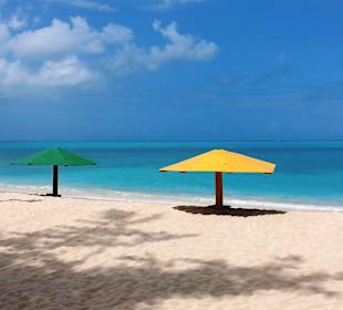 Bunte Schirme am Strand