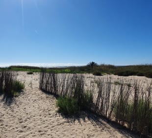 Strand Conil de la Frontera