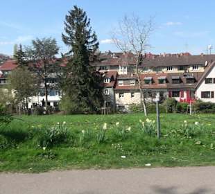 Parkanlage Villa Berg