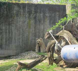Zoo Heidelberg 