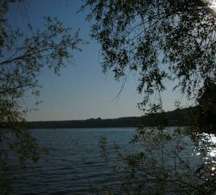 Lohheidesee