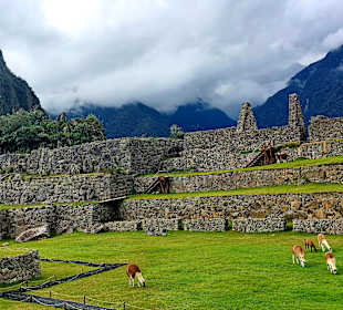 Machu Picchu
