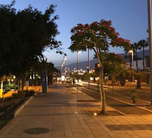 Wandern Teneriffa Kreaktiv Costa Adeje