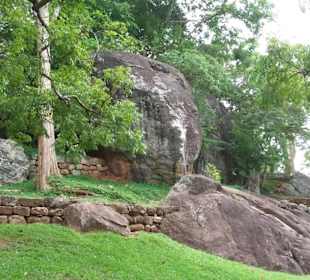Elefantenreiten Sigiriya