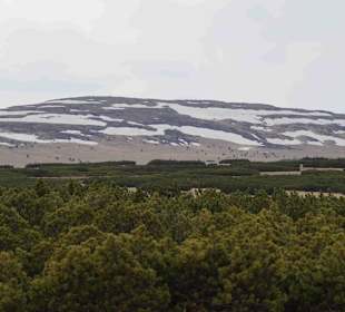 Berg Schneekoppe/Śnieżka