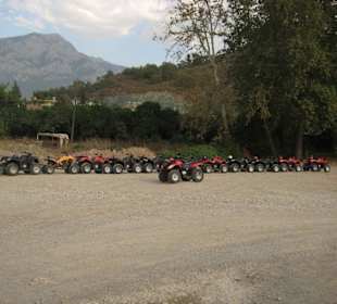 Quad Safari