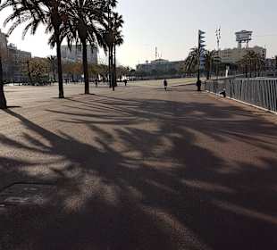 La Barceloneta