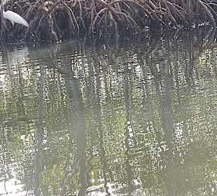 Punta Cana auf Deutsch - einfach schöne Ausflüge