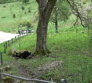 Lichtenstein, Reißenbachquelle