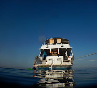 Unser Schiff "New Deal"