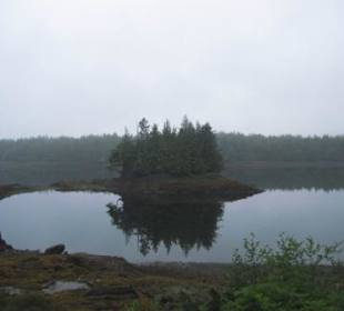 Morgenstimmung an einem trüben Tag auf Hwy no. 16