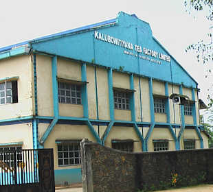 Tea Factory - Teefabrik 