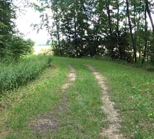 Hochgehnießen - Premiumspazierwanderweg