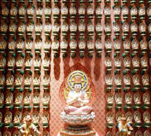 Buddha Zahn Relikt Tempel 