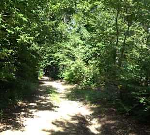 Naturerlebnispfad Sternberg