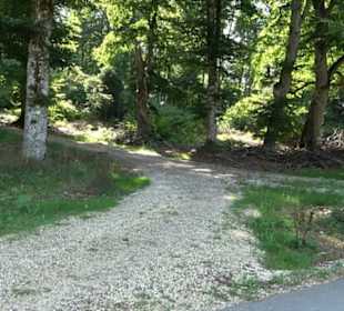 Sternberg