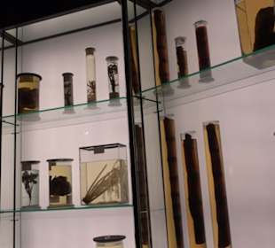 Deutsches Technikmuseum