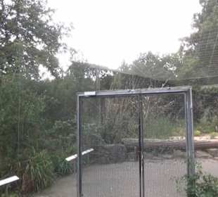 Vogelfreifluggelände