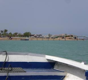 Zeytona Island