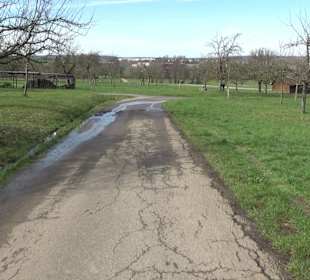 Gomaringer Rundweg - Zu den Giganten im Wald