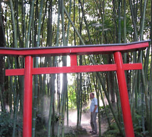 Asiatischer Garten