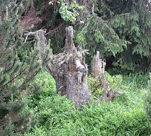 Wandern Oberwiesenthal