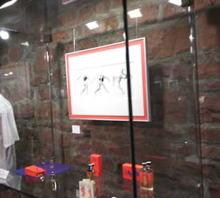 Theodor Zink Museum