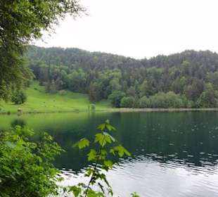 Alatsee Rundweg