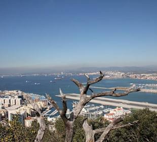 Ausflug nach Gibraltar 