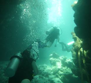 Tolle Tauchplätze unter Wasser