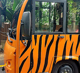 Zoo Bimmelbahn