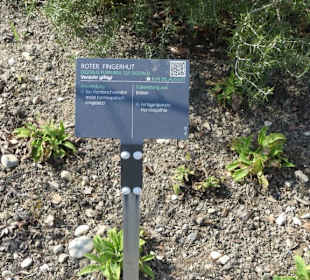 Erläuterungen der Kräuter