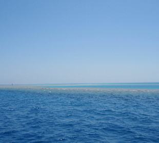 Einsames Korallenriff nur für uns.