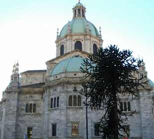 Katedra Como