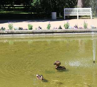 Łazienki królewskie, park