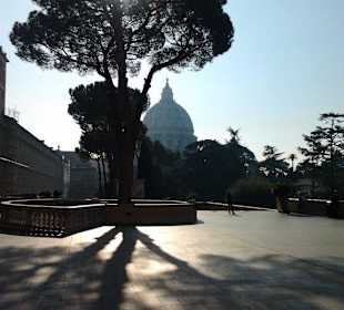 Vatikanische Museen/Petersdom
