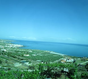 Restaurant Mirador de Garachico
