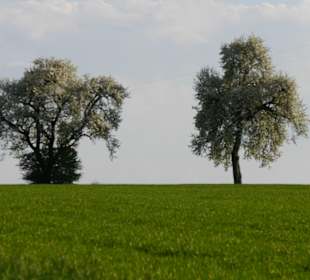 Wandern Salem