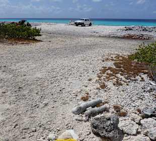 Zugang zum Dive Spot