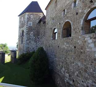 Burg Ljubljana