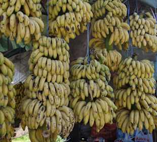 Land und Leute fahrt bei Toni