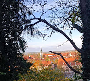 Blick auf Bad Radkersburg