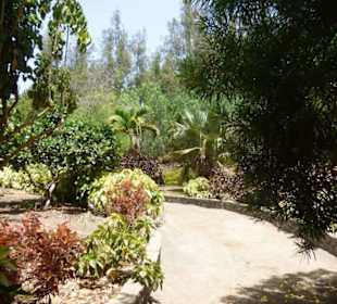 Schöner Garten