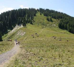 Der Weg von der Bergstation zum Gipfel